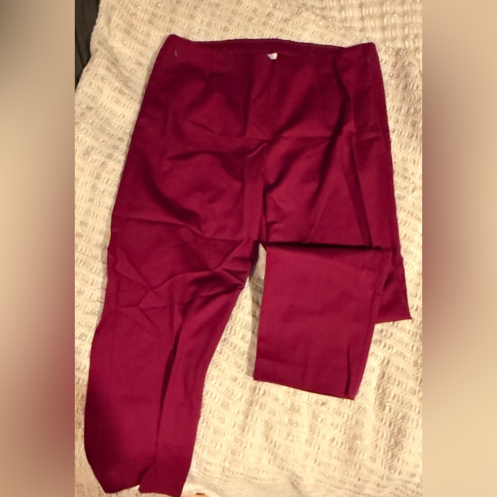 Elegant Berry Women's Pants